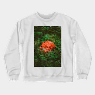 Pacific Northwest Coral Fungi Crewneck Sweatshirt